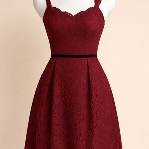 Loft Fully Lined Lace Dress Size 10P Wine Color EUC